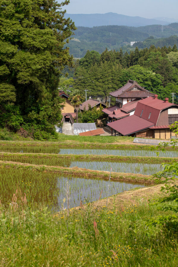 Hiraizumi Club -farm&resort- (Overnight Accommodation Facility) image