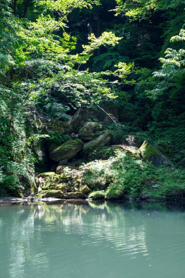 Geibikei Gorge River Boat Cruise  (2-hour charter plan with oarsman experience) image