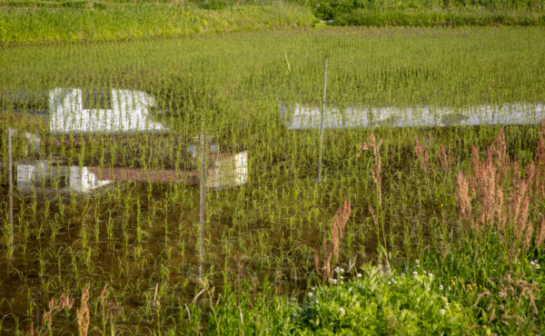 Kazenosawa (Overnight Accommodation Facility) image