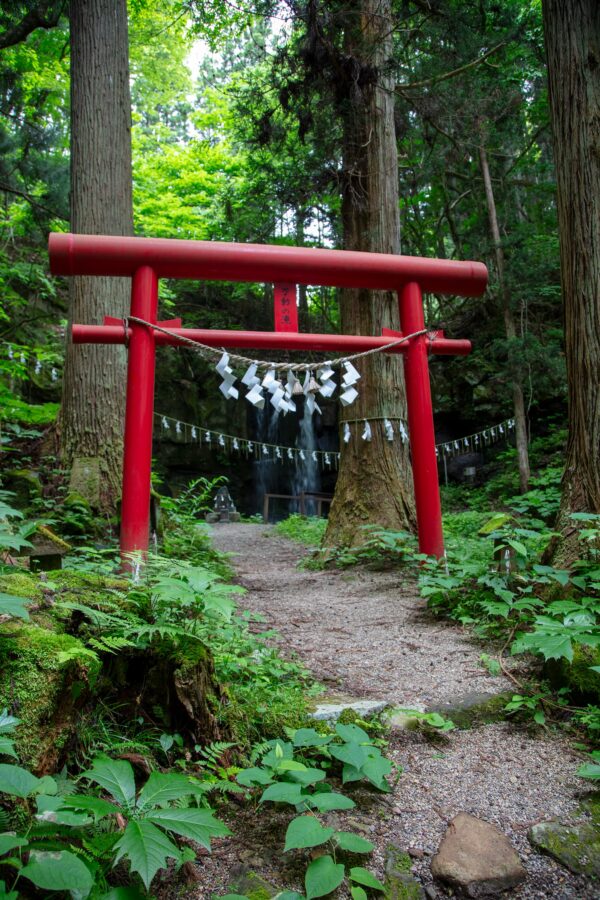 Sake Brewery Tour (Kanenoi Shuzo) image