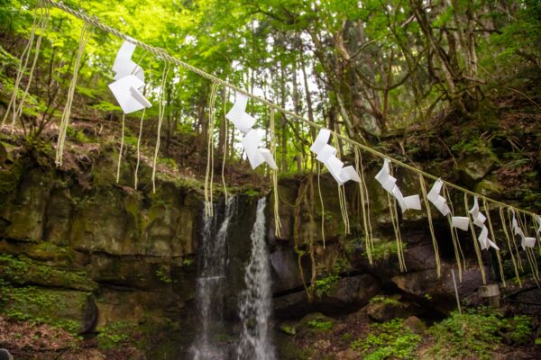 Sake Brewery Tour (Kanenoi Shuzo) image