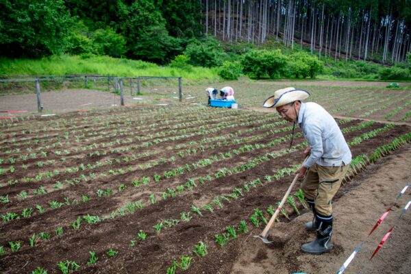 Early Summer Exclusive: Create a One-of-a-Kind Indigo-Dyed Work Learn and experience Japan’s oldest dyeing technique – “Sho-Aizome” image