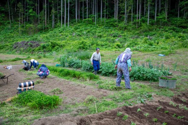 Early Summer Exclusive: Create a One-of-a-Kind Indigo-Dyed Work Learn and experience Japan’s oldest dyeing technique – “Sho-Aizome” image