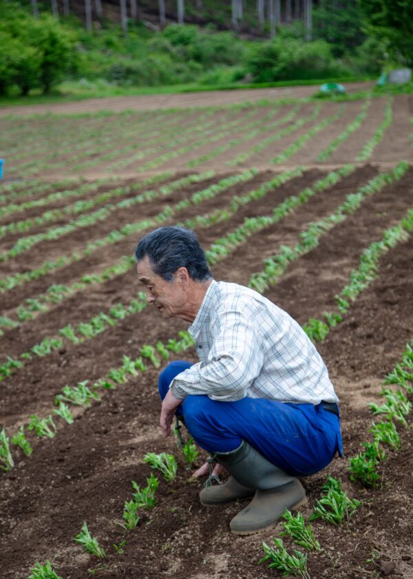 Early Summer Exclusive: Create a One-of-a-Kind Indigo-Dyed Work Learn and experience Japan’s oldest dyeing technique – “Sho-Aizome” image