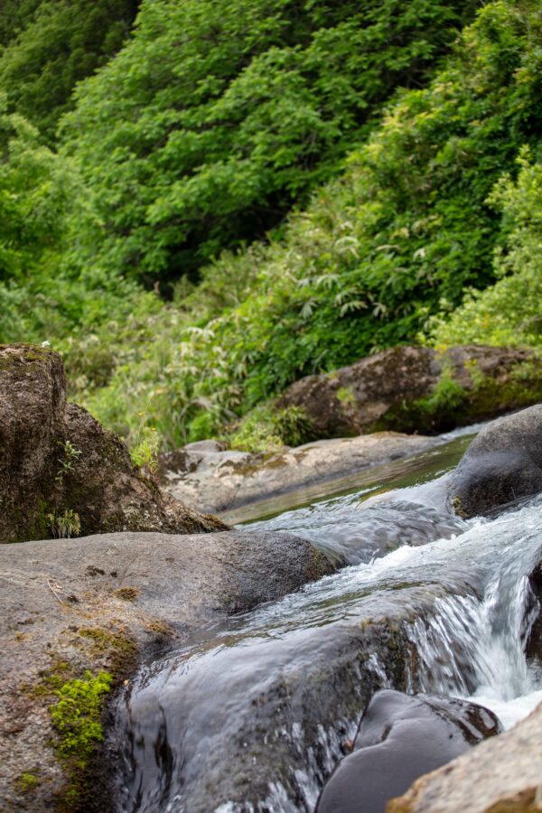 Early Summer Exclusive: Create a One-of-a-Kind Indigo-Dyed Work Learn and experience Japan’s oldest dyeing technique – “Sho-Aizome” image