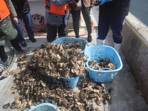 Ishinomaki Food Adventure image