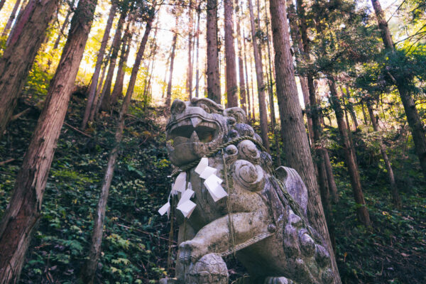 Sake Brewery Tour (Kanenoi Shuzo) image