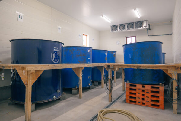 Sake Brewery Tour (Kanenoi Shuzo) image