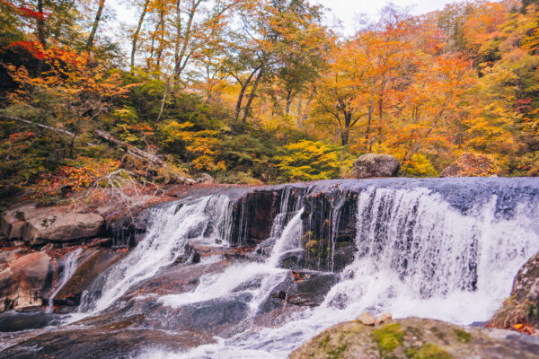 Overnight stay at Yubama Onsen Lamplit Inn Miura Ryokan image