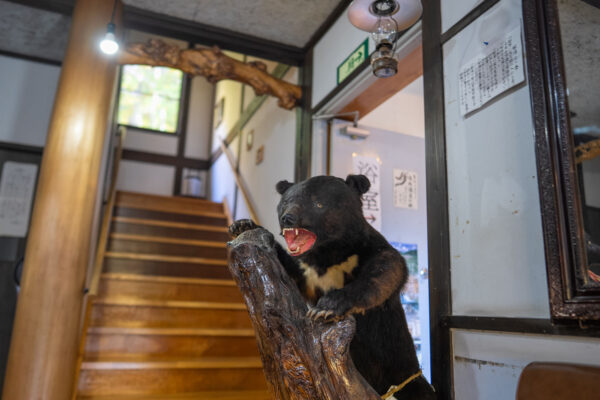 Overnight stay at Yubama Onsen Lamplit Inn Miura Ryokan image