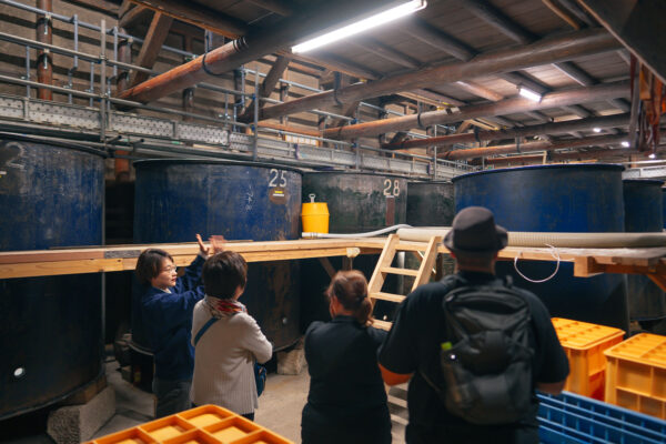 Sake Brewery Tour (Kanenoi Shuzo) image