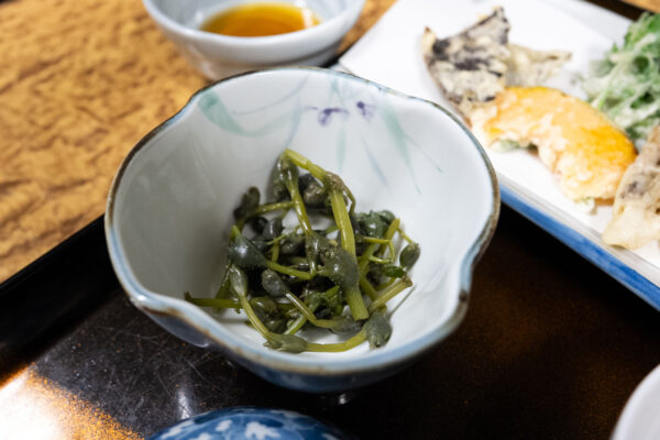 Overnight stay at Yubama Onsen Lamplit Inn Miura Ryokan image