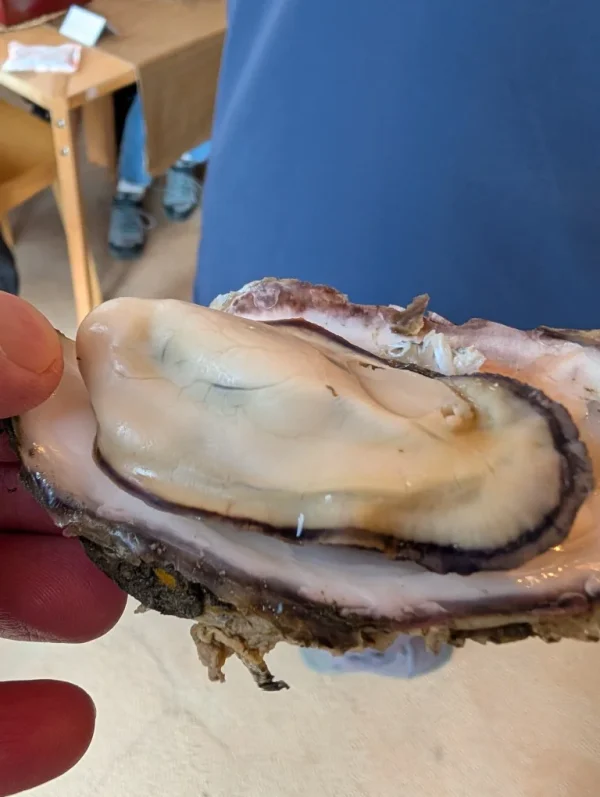 Ishinomaki Food Adventure image