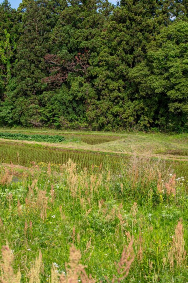 Hiraizumi Club -farm&resort- (Overnight Accommodation Facility) image