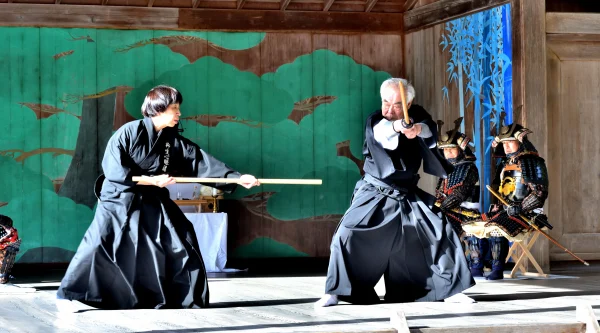 Yagyu Shingan-ryu Martial Arts image