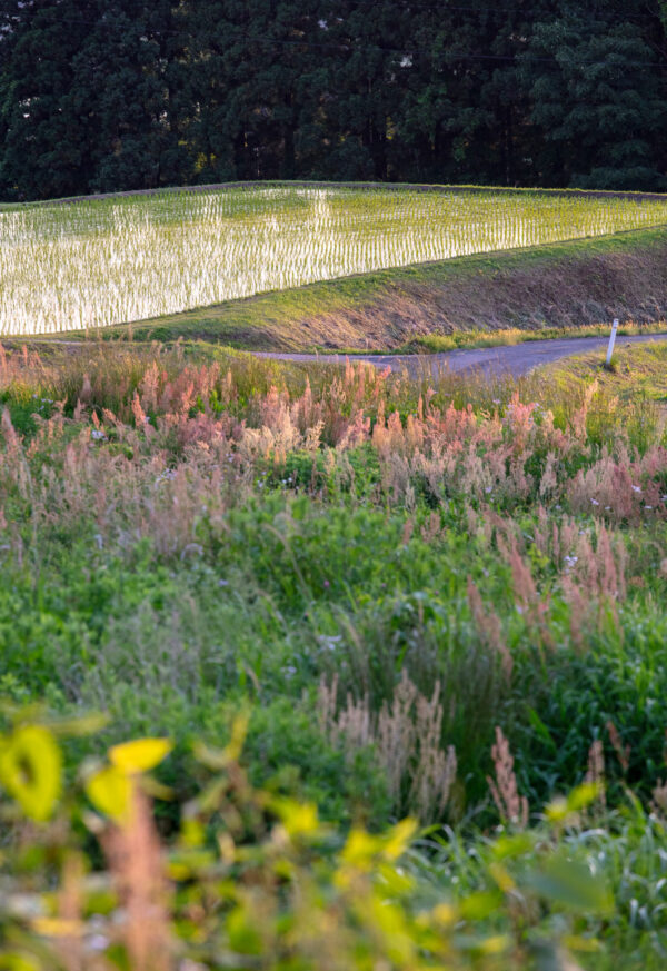 Hiraizumi Club -farm&resort- (Overnight Accommodation Facility) image