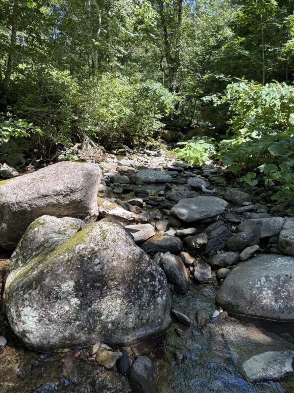 Across a Thousand Years – Trekking the Kurikoma Kodo Ancient Trail – 3 Days, 2 Nights Special Plan image