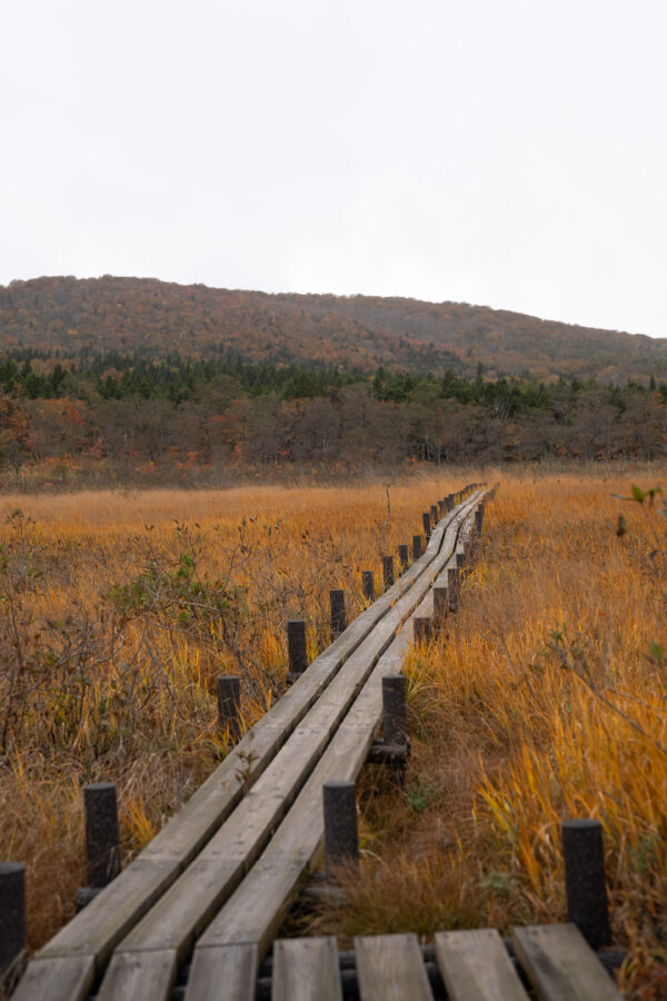 Across a Thousand Years – Trekking the Kurikoma Kodo Ancient Trail – 3 Days, 2 Nights Special Plan image