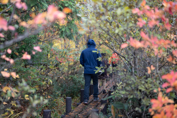 Across a Thousand Years – Trekking the Kurikoma Kodo Ancient Trail – 3 Days, 2 Nights Special Plan image