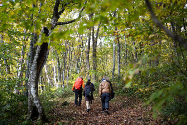 Across a Thousand Years – Trekking the Kurikoma Kodo Ancient Trail – 3 Days, 2 Nights Special Plan image