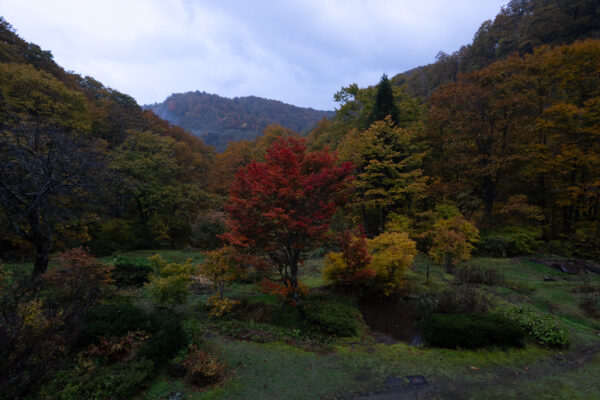 Across a Thousand Years – Trekking the Kurikoma Kodo Ancient Trail – 3 Days, 2 Nights Special Plan image