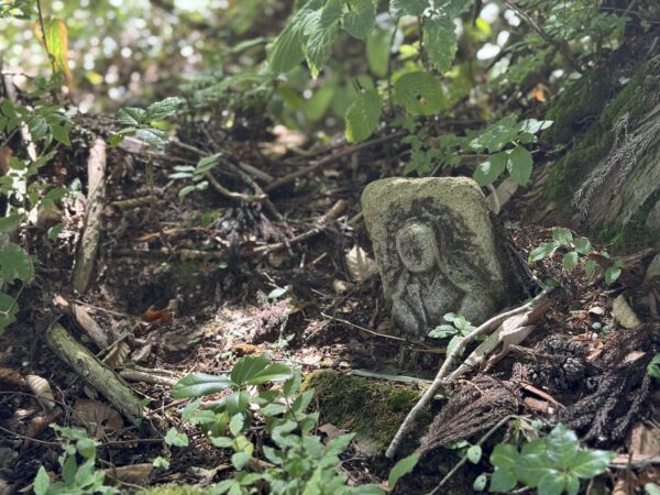 Across a Thousand Years – Trekking the Kurikoma Kodo Ancient Trail – 3 Days, 2 Nights Special Plan image