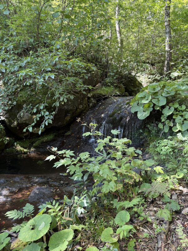 Across a Thousand Years – Trekking the Kurikoma Kodo Ancient Trail – 3 Days, 2 Nights Special Plan image