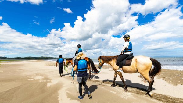 Horseback Riding Experience at Japan’s Scenic Oku-Matsushima Beach image